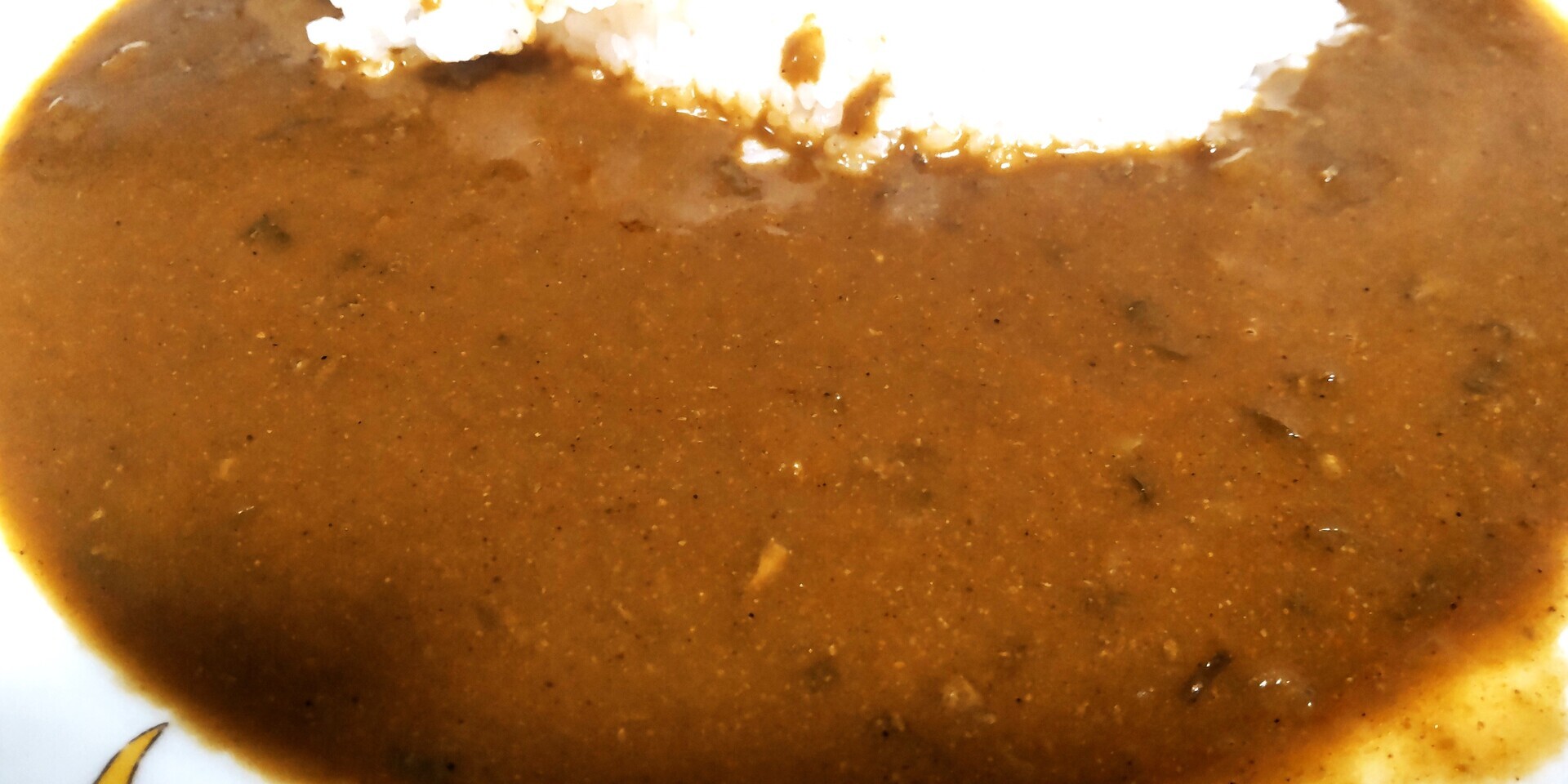 こと京都 九条ねぎカレー: ご当地レトルトカレーで単身赴任の